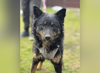 Bessie ein sportlicher Schatz