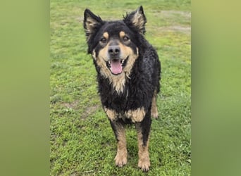 Farmer ein ganz toller Schatz