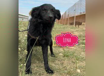 Lena eine wundervolle Seele Lena eine wundervolle Seele