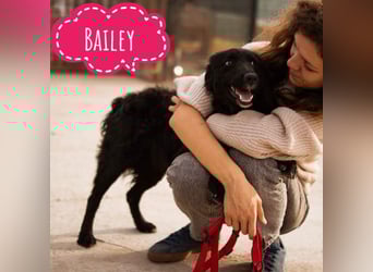 Bailey hofft auf eine Familie