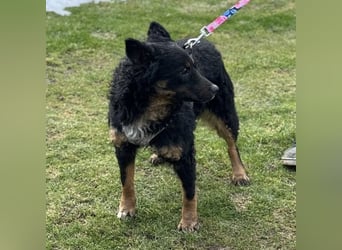 Bessie ein sportlicher Schatz