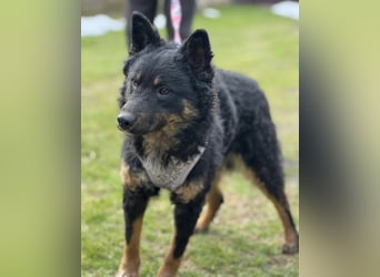 Bessie ein sportlicher Schatz