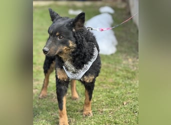 Bessie ein sportlicher Schatz