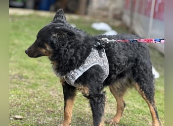 Bessie ein sportlicher Schatz