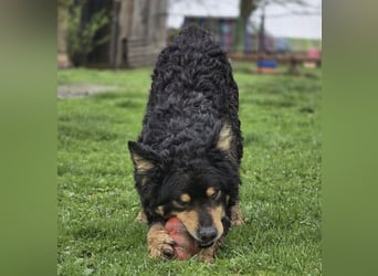 Farmer ein ganz toller Schatz
