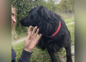 Beni sucht nach Liebe und Geborgenheit