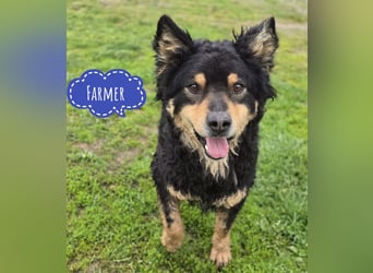 Farmer ein ganz toller Schatz