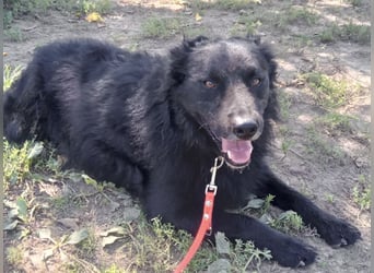 Pucci ein schwarzer Schatz