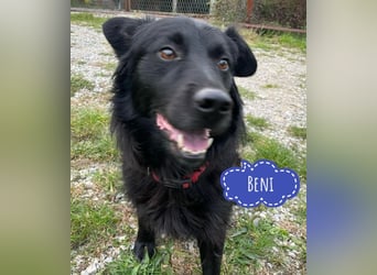 Beni sucht nach Liebe und Geborgenheit