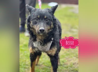 Bessie ein sportlicher Schatz