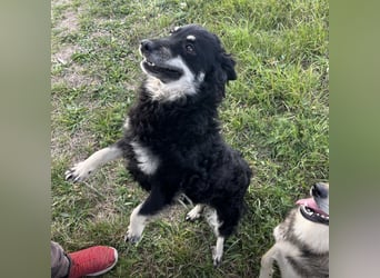 Kika ein Traumwesen