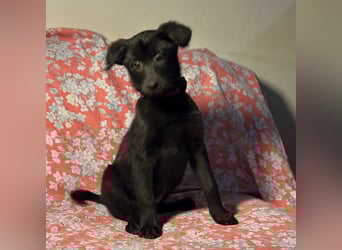 Saide ein freundliches Mädchen