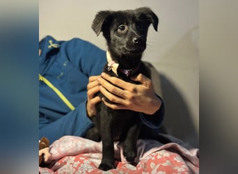 Saide ein freundliches Mädchen