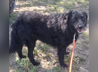 Pucci ein schwarzer Schatz