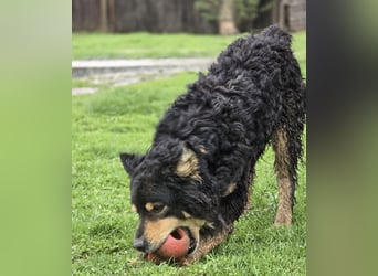 Farmer ein ganz toller Schatz