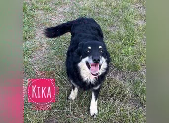 Kika ein Traumwesen