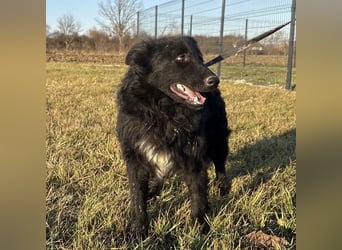 Dobri wartet viel zu lange