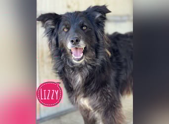 Lizzy braucht ein einfühlsames Zuhause