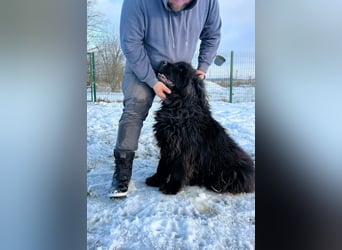 Malakai, geboren 15.06.2020, 67cm sucht sein Zuhause