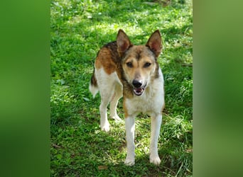 Simon VA, aufgeschlossen, neugierig