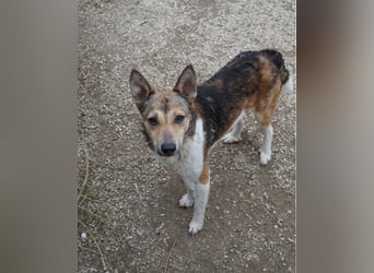 Simon VA, aufgeschlossen, neugierig