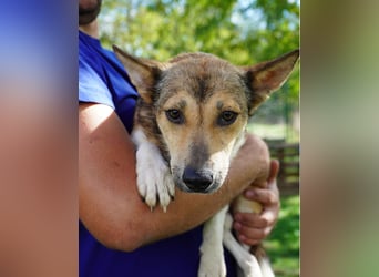 Simon VA, aufgeschlossen, neugierig