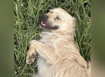 Fritz ein ganz toller kleiner Bub