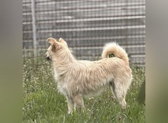 Fritz ein ganz toller kleiner Bub