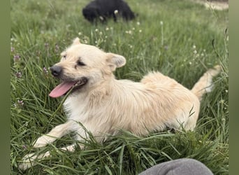 Fritz ein ganz toller kleiner Bub