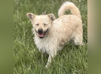 Fritz ein ganz toller kleiner Bub