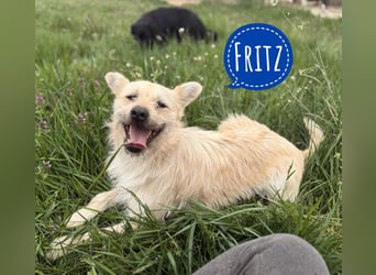 Fritz ein ganz toller kleiner Bub