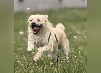 Fritz ein ganz toller kleiner Bub