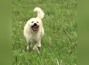 Fritz ein ganz toller kleiner Bub