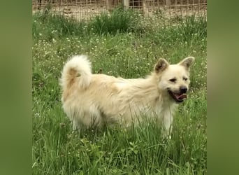 Fritz ein ganz toller kleiner Bub