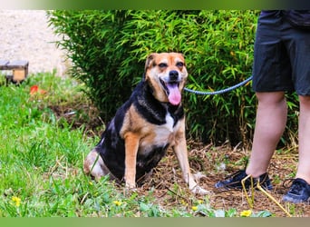 Sanfte Malika - soll nach schweren Zeiten endlich etwas Glück finden !!