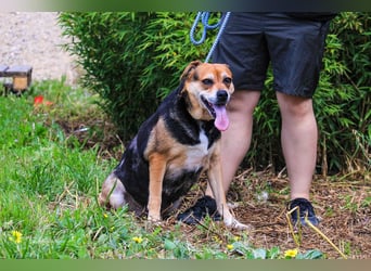 Sanfte Malika - soll nach schweren Zeiten endlich etwas Glück finden !!