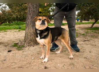 Sanfte Malika - soll nach schweren Zeiten endlich etwas Glück finden !!