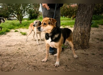 Sanfte Malika - soll nach schweren Zeiten endlich etwas Glück finden !!