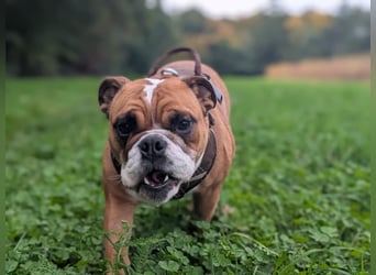 Betty sucht tolles zu Hause