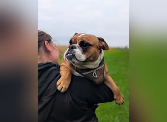 Betty sucht tolles zu Hause