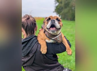 Betty sucht tolles zu Hause