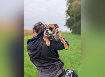 Betty sucht tolles zu Hause