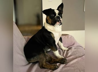 Olaf - ist freundlich&offen Menschen gegenüber