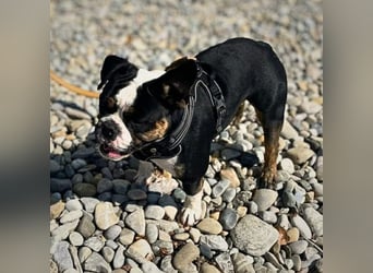 Olaf - ist freundlich&offen Menschen gegenüber