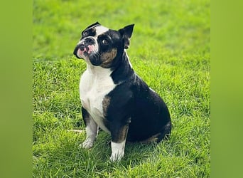 Olaf - ist freundlich&offen Menschen gegenüber