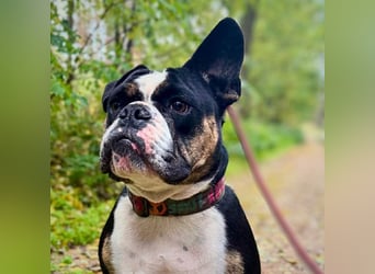 Olaf - ist freundlich&offen Menschen gegenüber