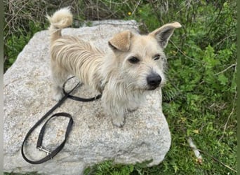 Remino - Klein UND Oho !!