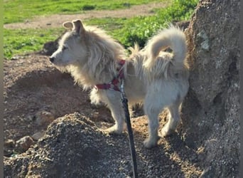 Remino - Klein UND Oho !!