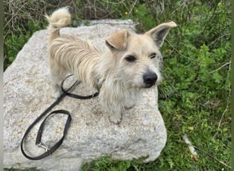 Remino - Klein UND Oho !!