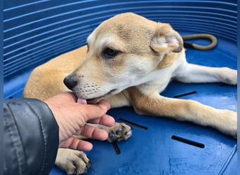 Leda: voller Lebensfreude